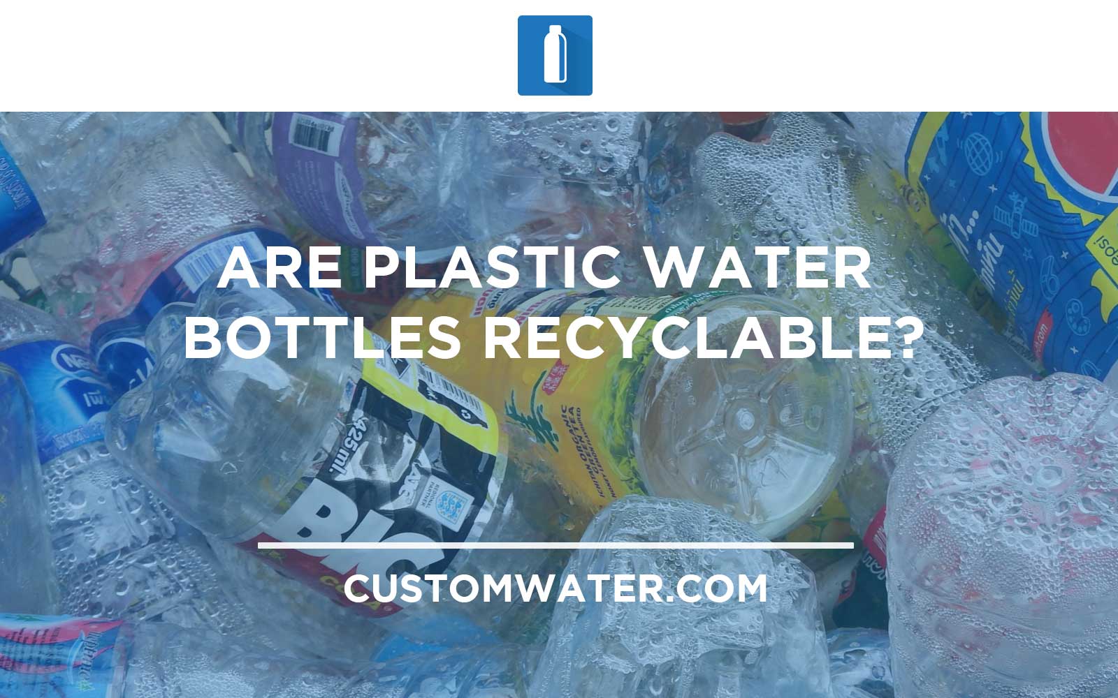 plastic-water-bottle-recycling